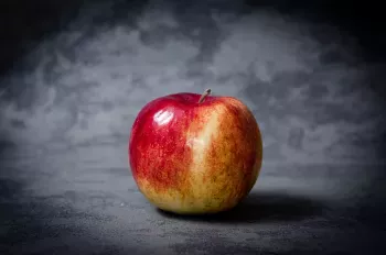Jabłka odmiany JONAGORED