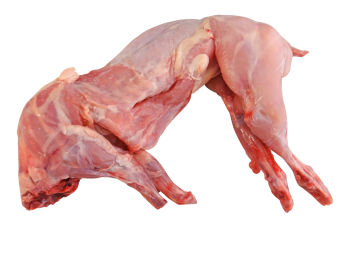 Mięso królicze tuszki z królika